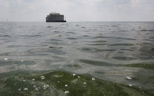 Lake Erie Algae Image 2